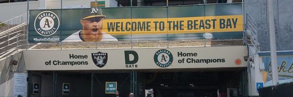 kelch55 Profile Banner