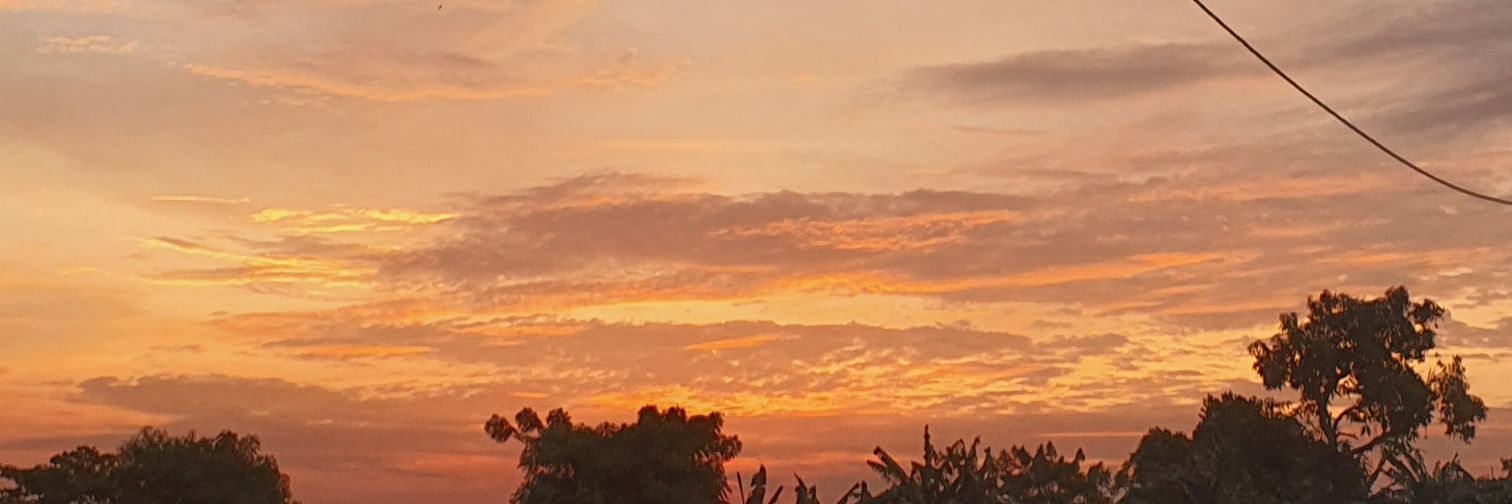 . ˚ ⚘ Kearney banner