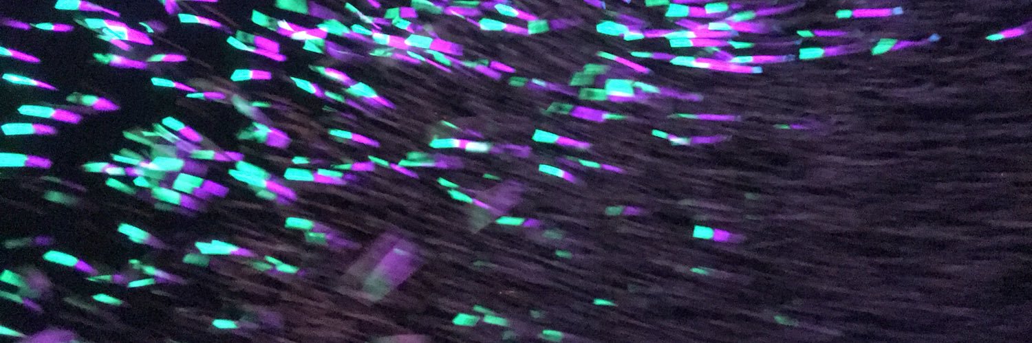 the_snailmail's profile banner image