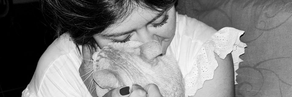 t_schz's profile banner image