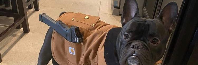 playboilow's profile banner image