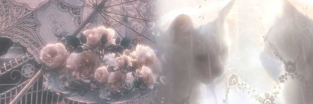 Chitori✨ banner