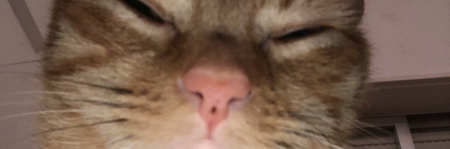 anndrefmmt's profile banner image