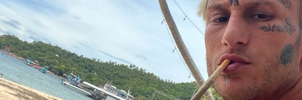 yola verda banner