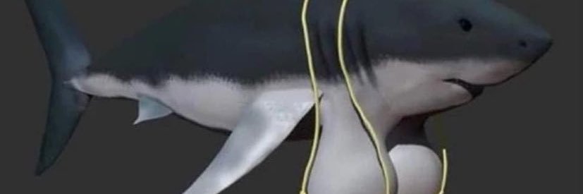 SUPimsav's profile banner image
