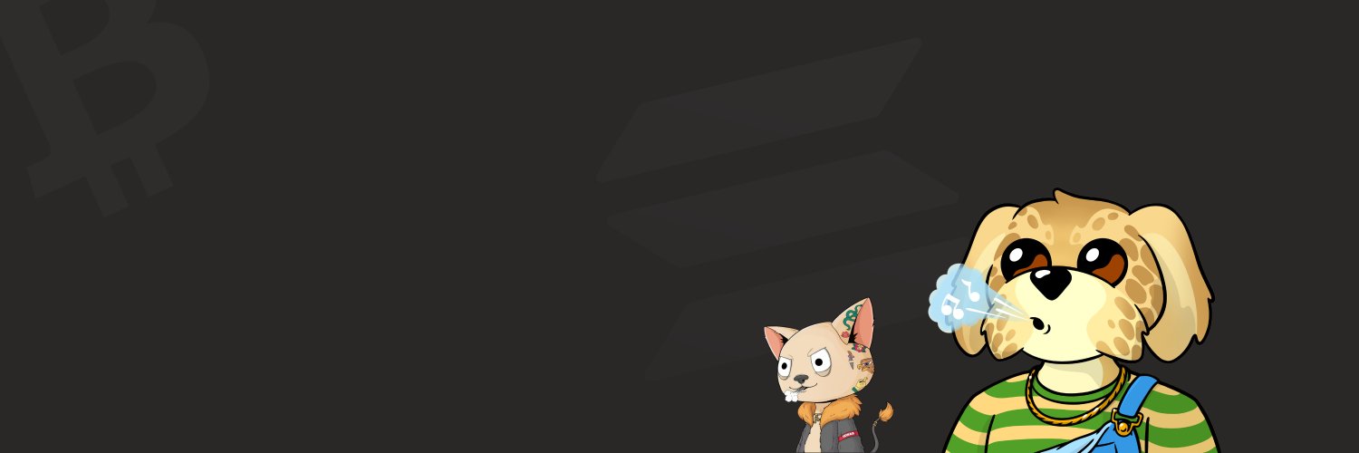 Drippinonchain banner