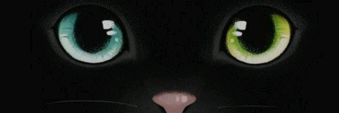 YankitaQ's profile banner image