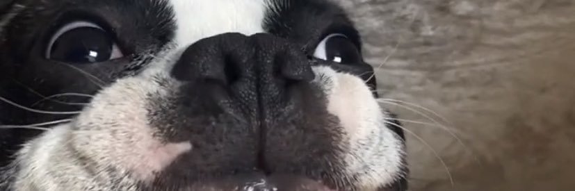 theeblossomm's profile banner image