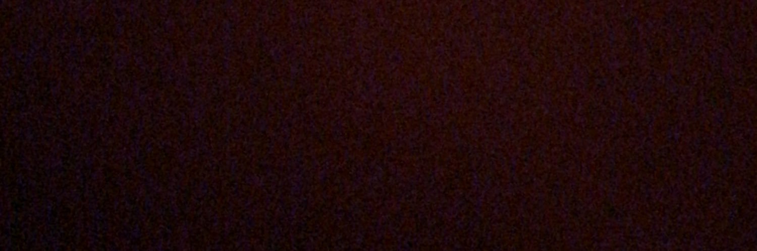 TazMahal_'s profile banner image