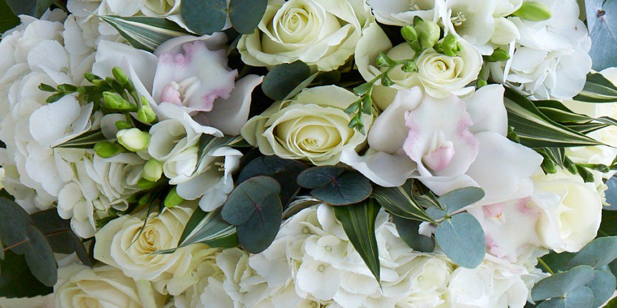 JanePackerTweet's profile banner image