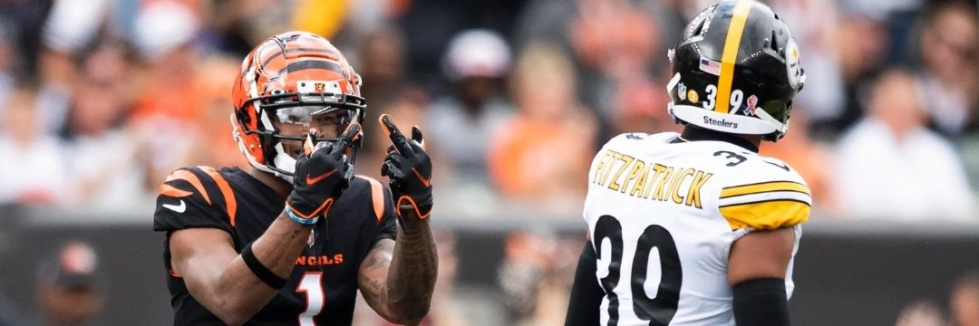 Emerald Bengal ☘️🐅 banner