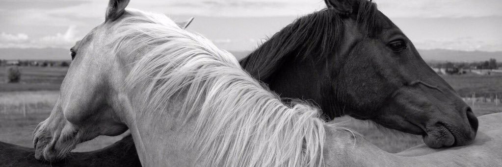 roo8iy's profile banner image
