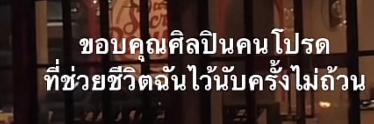 🐬 banner