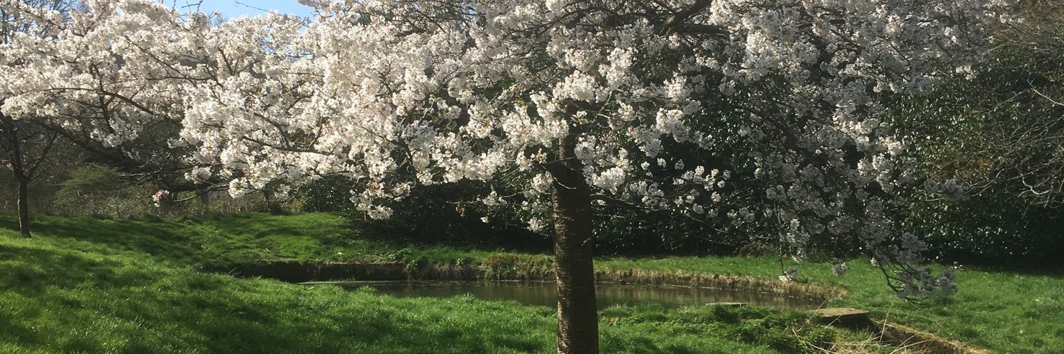 perkinslucy's profile banner image