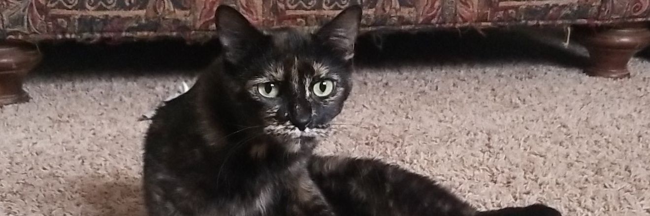 A_Faffy's profile banner image