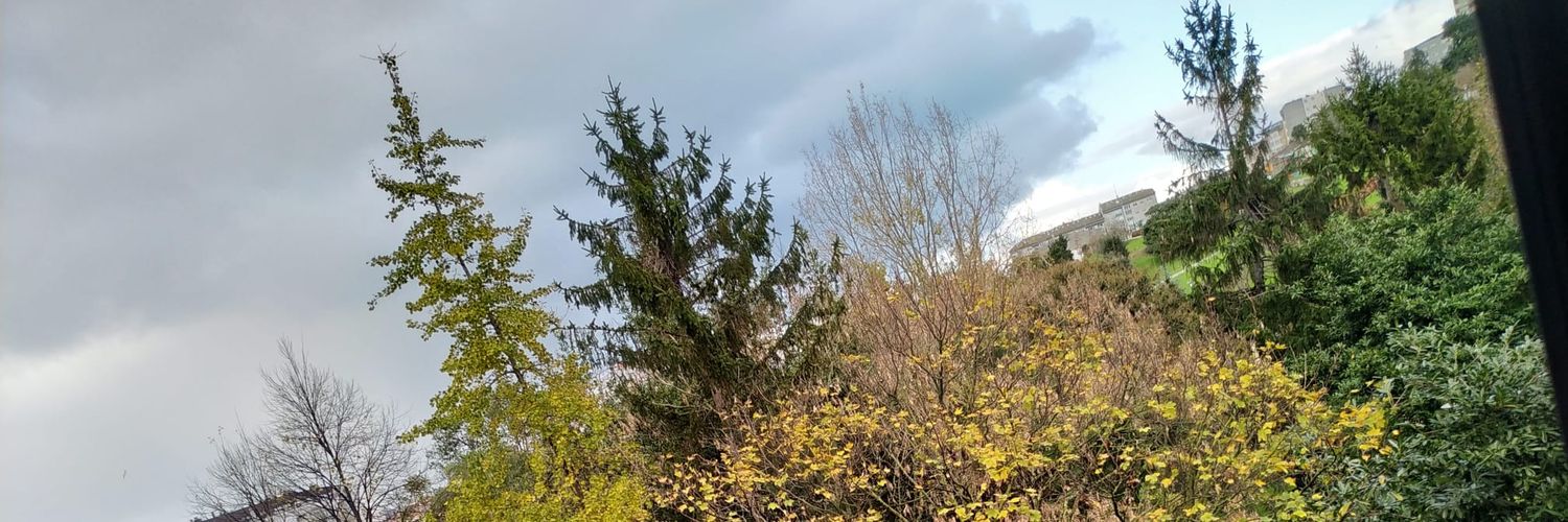 Cerbecer0's profile banner image