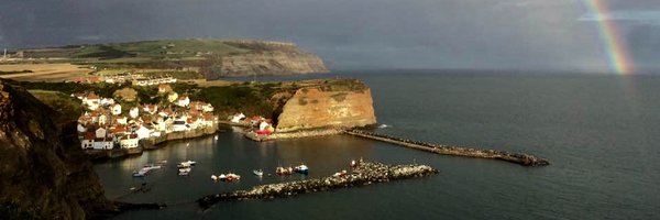 SPICOP Profile Banner