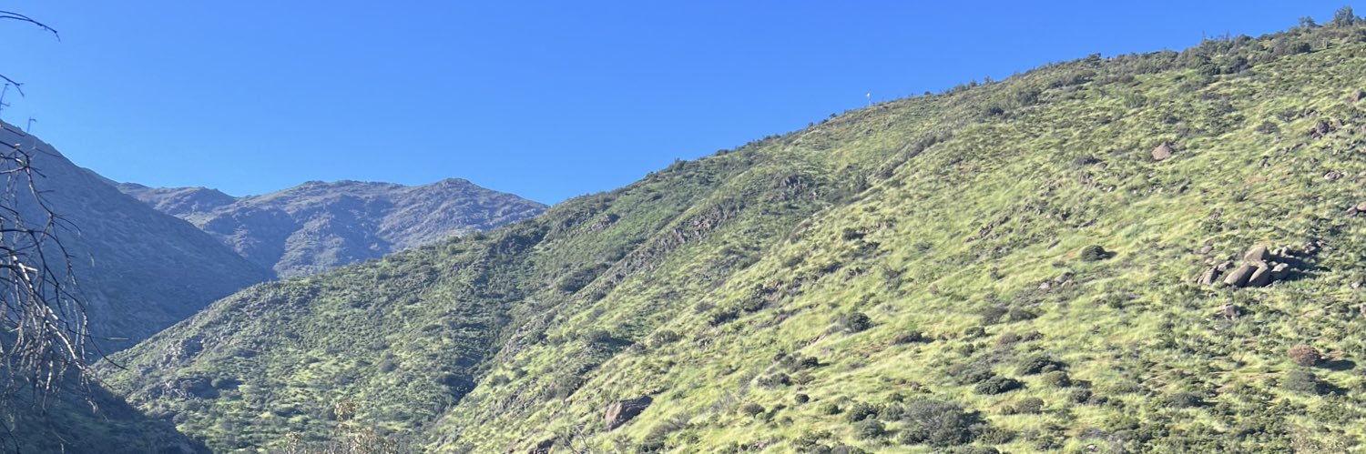 DanielaFR's profile banner image
