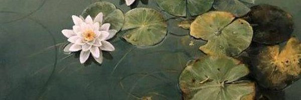 sandizzylight Profile Banner