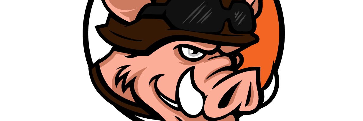 BattleHogz's profile banner image