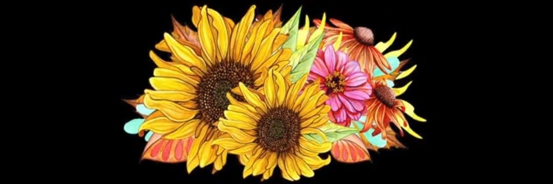 fran_hippie's profile banner image