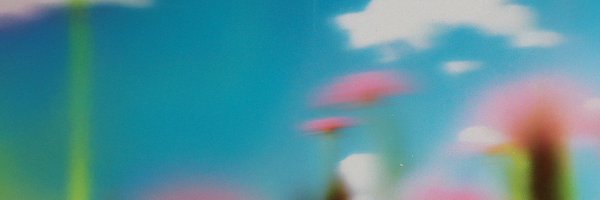 LaVendicion9k Profile Banner