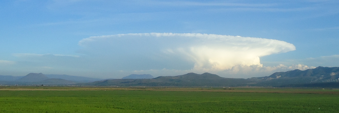 𝗠𝗮𝗿𝗰𝗼𝘀 𝗦𝗼𝗹𝗶𝘀 𝕏 banner