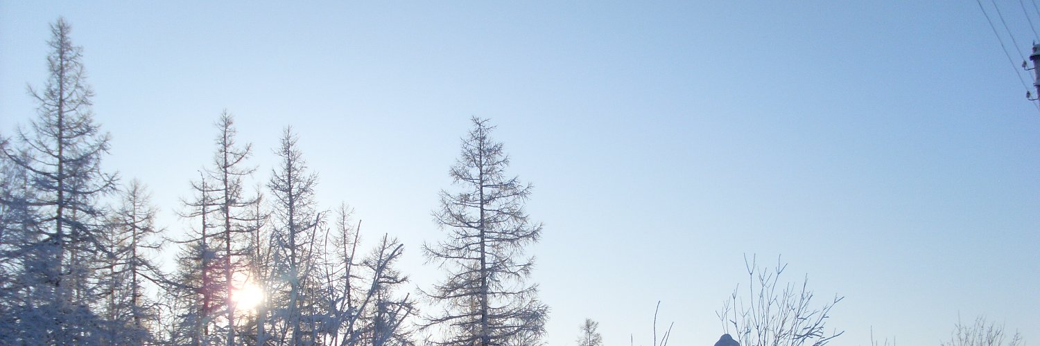 evzomb's profile banner image