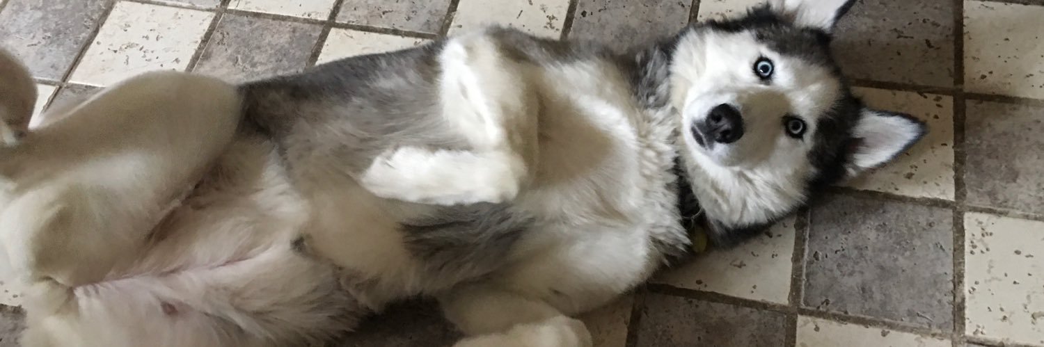 BeccaBehave's profile banner image