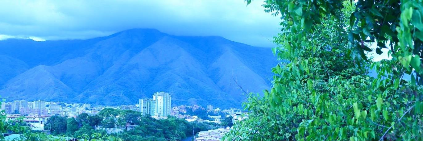 manubric's profile banner image