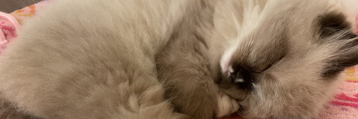 sub_ringo_'s profile banner image