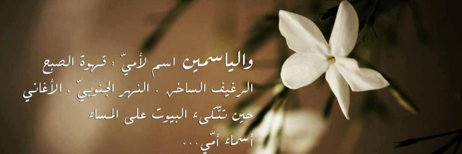 AmrHanan's profile banner image