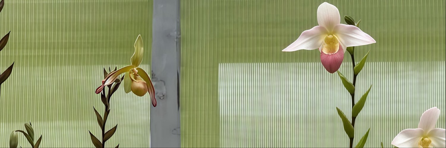 Yeooju's profile banner image
