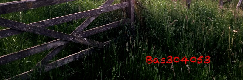 bas banner
