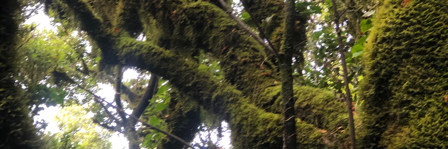 rmcone's profile banner image