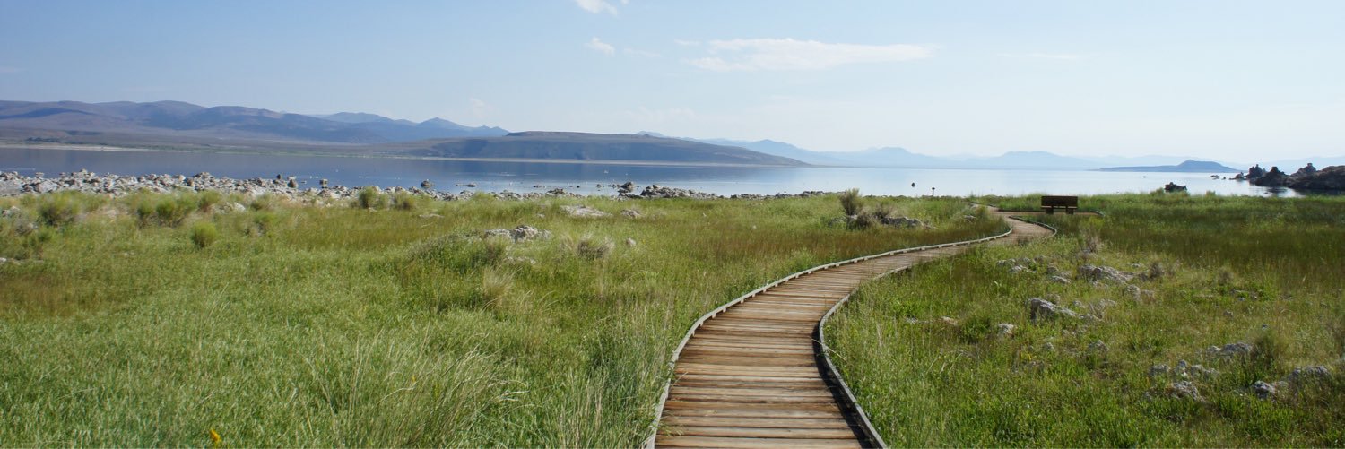 David Krachler banner