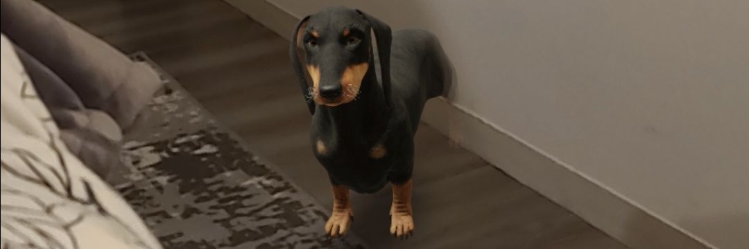 Decent_opinion's profile banner image
