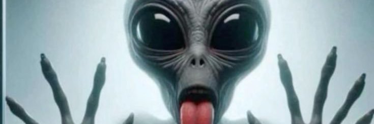 Pro Sodomizer banner