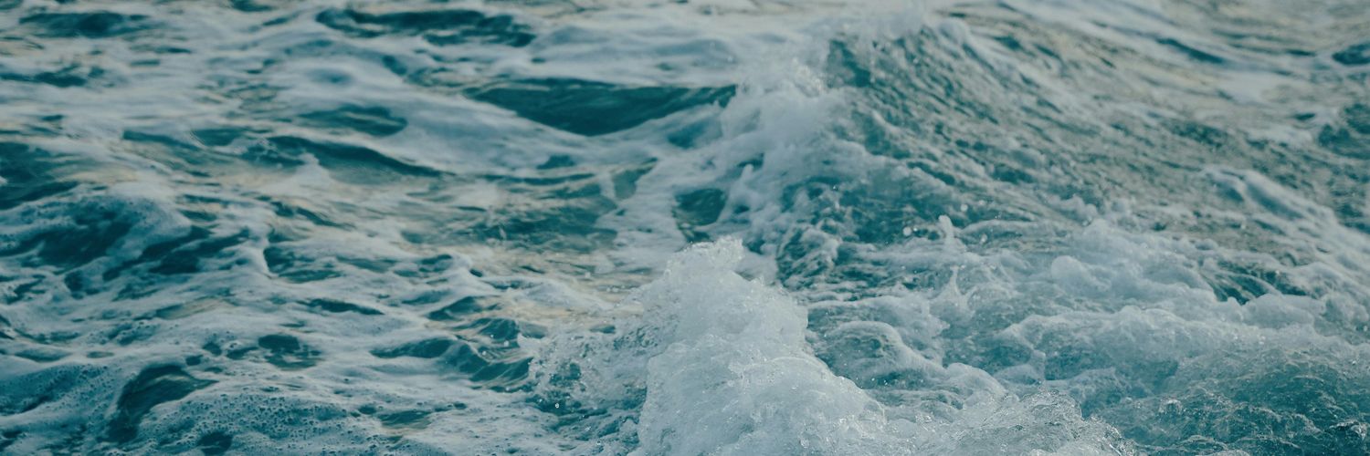 🍀 이브 🍀 banner