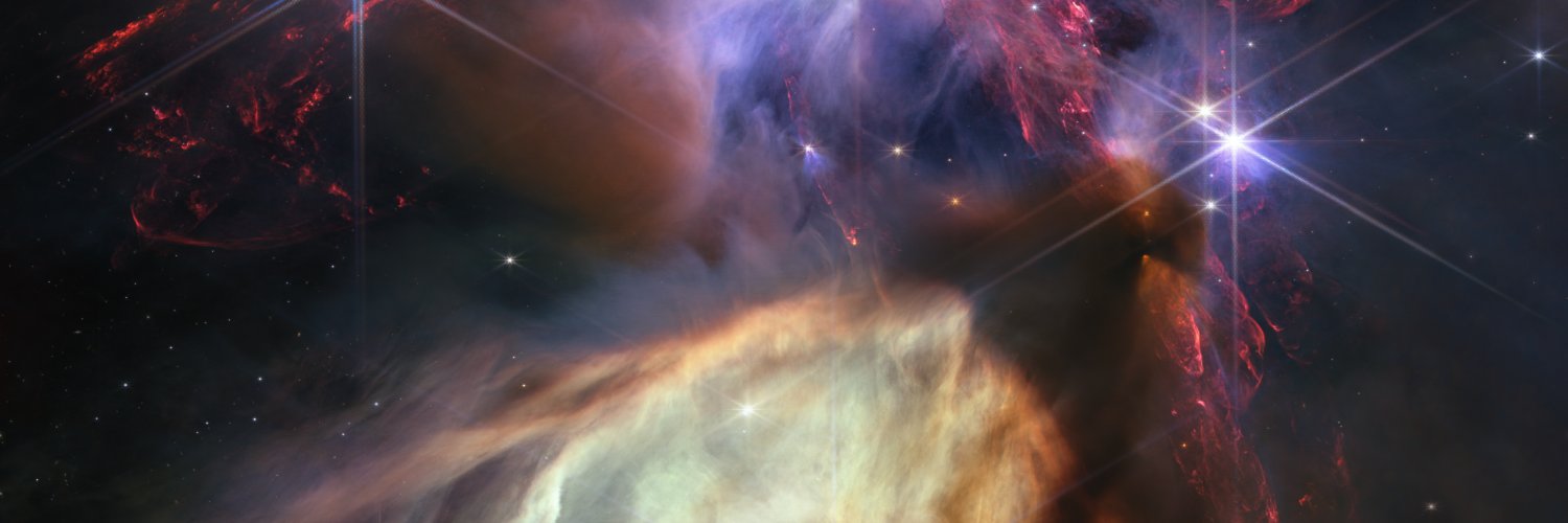 David Amiel banner