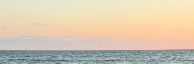 miun⁷🪸🧜‍♂️🐦‍⬛ banner