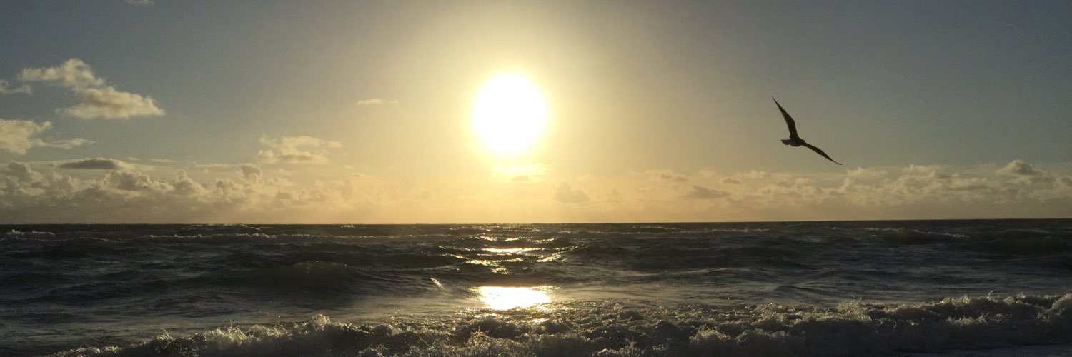 teddyp1's profile banner image