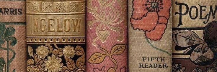 أمــــل 🦋 banner