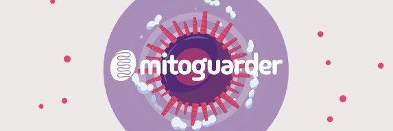 Sarah O'Keefe banner