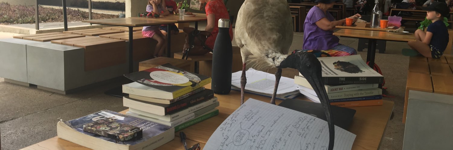 Brisbane Free Uni banner