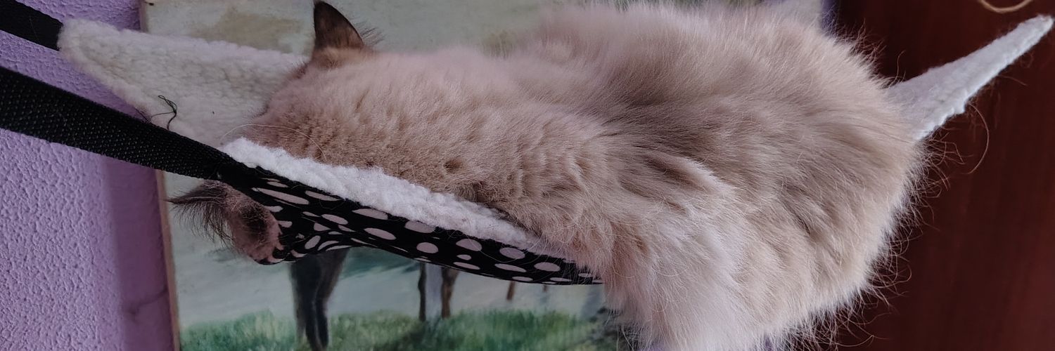 Матінка Котяча і чуть-чуть собача's banner