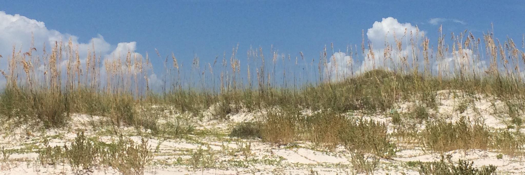 Fsu1165's profile banner image