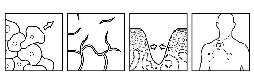 Benjamin Nanes banner