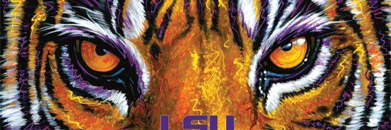 geauxbarbara's profile banner image