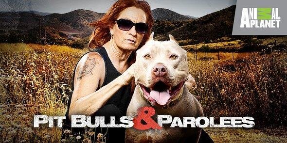 Pitbulls and Parolee banner